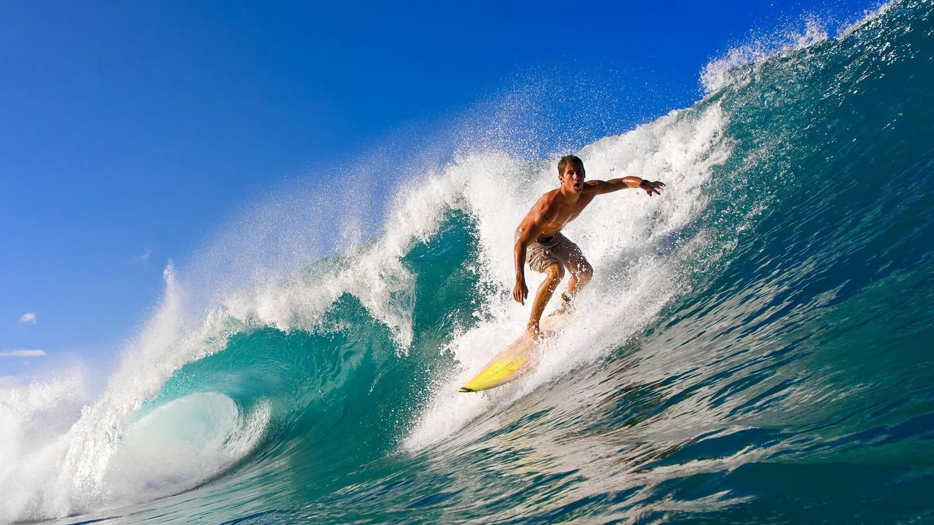 高尔领衔袋鼠队进攻，突破成为球队新亮点，袋鼠冠军